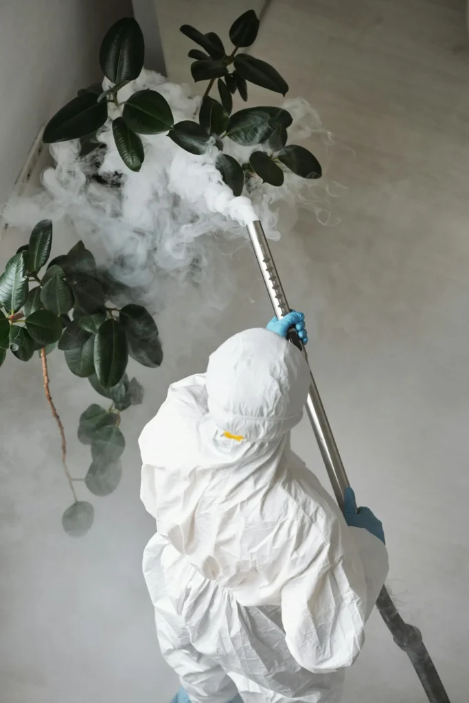 Trusted Pest Control - West Islip Best Pest Pros | West Islip, NY | 631-883-5779