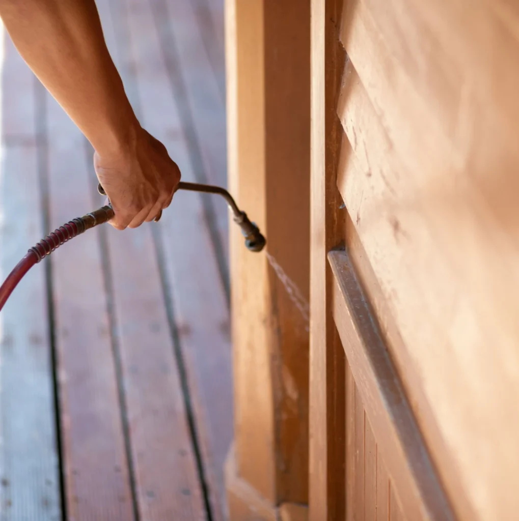 Trusted Pest Control - West Islip Best Pest Pros | West Islip, NY | 631-883-5779